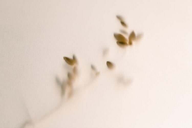 Hermosas imágenes y fotos gratuitas _ Unsplash